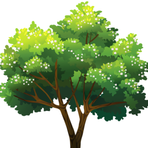 tree PNG