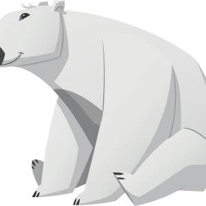 Polar white bear PNG