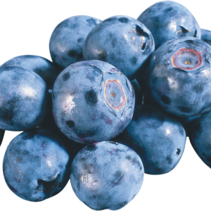 Blueberries PNG