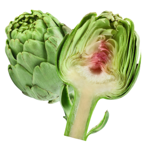 Artichoke PNG