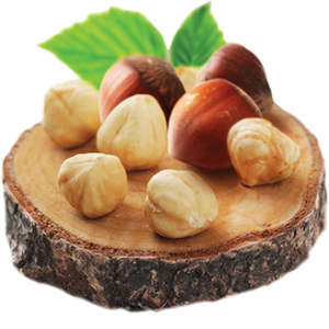hazelnut PNG