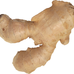 Ginger PNG