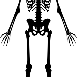Skeleton PNG
