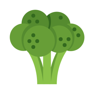Broccoli PNG