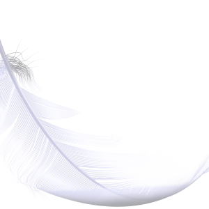 Feather PNG