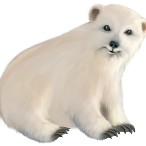 Polar white bear PNG