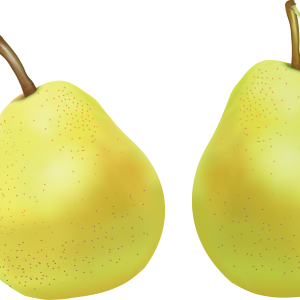 Pear PNG image