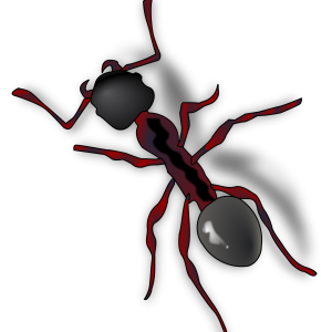 ant PNG