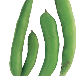 Green bean PNG