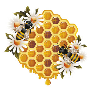 Bee PNG
