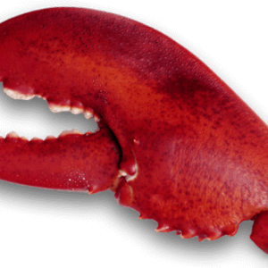Lobster PNG