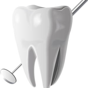 tooth png