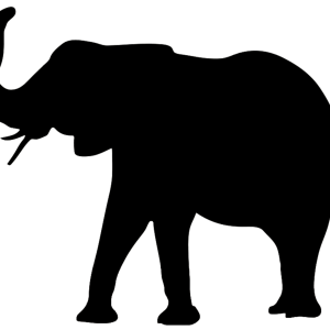 Elephant PNG