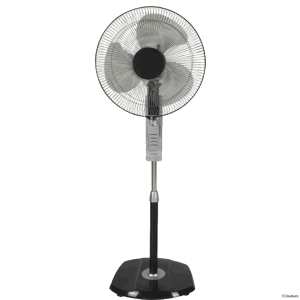 Fan PNG