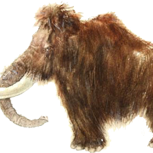 Mammoth PNG