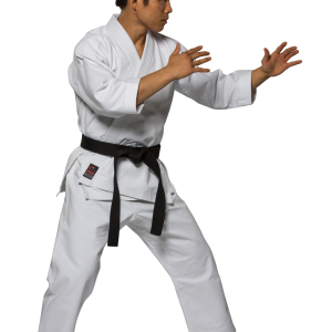 Karate PNG