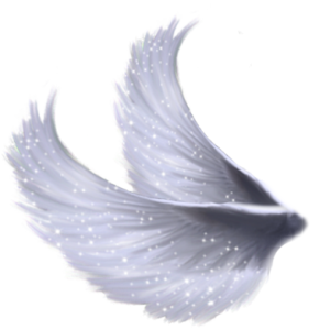 Wings PNG