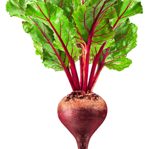 Beet PNG