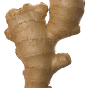Ginger PNG