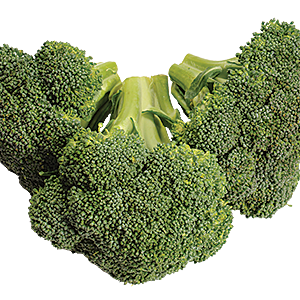 Broccoli PNG