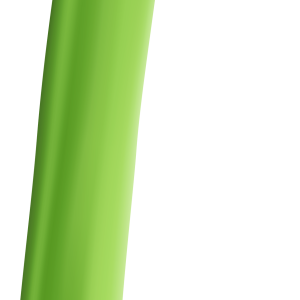 Green bean PNG