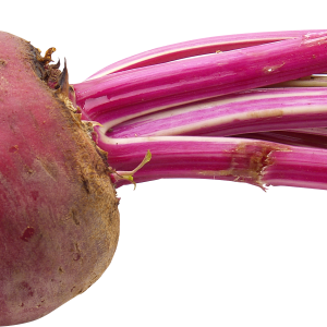 Beet PNG