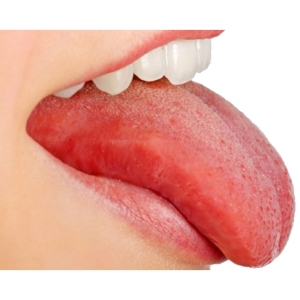 Tongue PNG