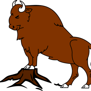 Bison PNG