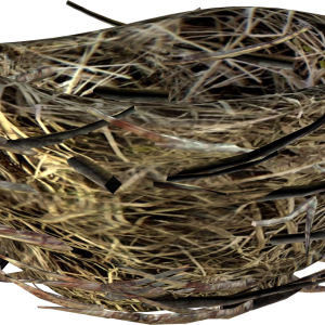 Nest PNG