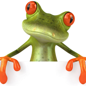 Frog PNG