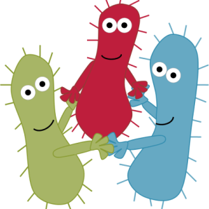 Bacteria PNG