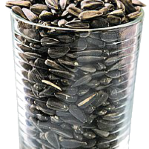 Sunflower seeds PNG