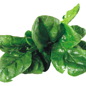 Spinach PNG