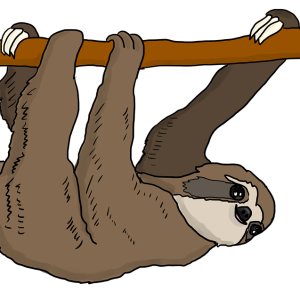 Sloth PNG