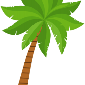 Palm tree PNG