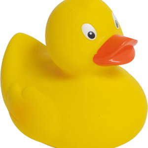 Rubber duck PNG