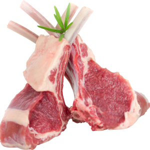 meat PNG
