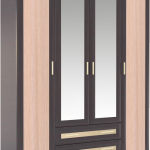 Closet PNG
