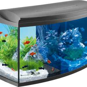 Aquarium PNG