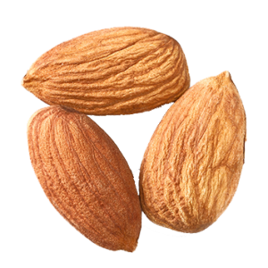 Almond PNG