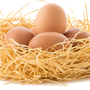 Nest PNG