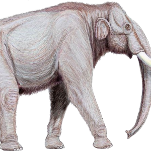 Mammoth PNG