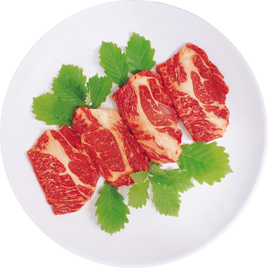 Meat PNG picture