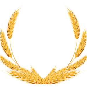 Wheat PNG