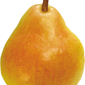 Ripe pear PNG image