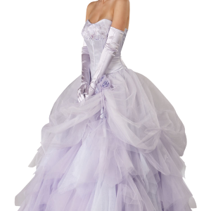 Bride PNG
