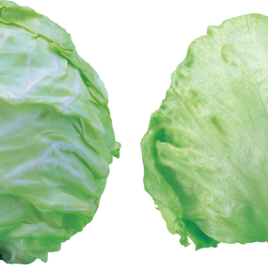 Cabbage PNG