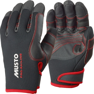 Gloves PNG