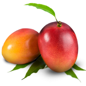 Mango PNG image
