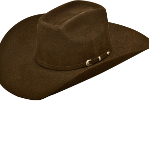 Cowboy hat PNG